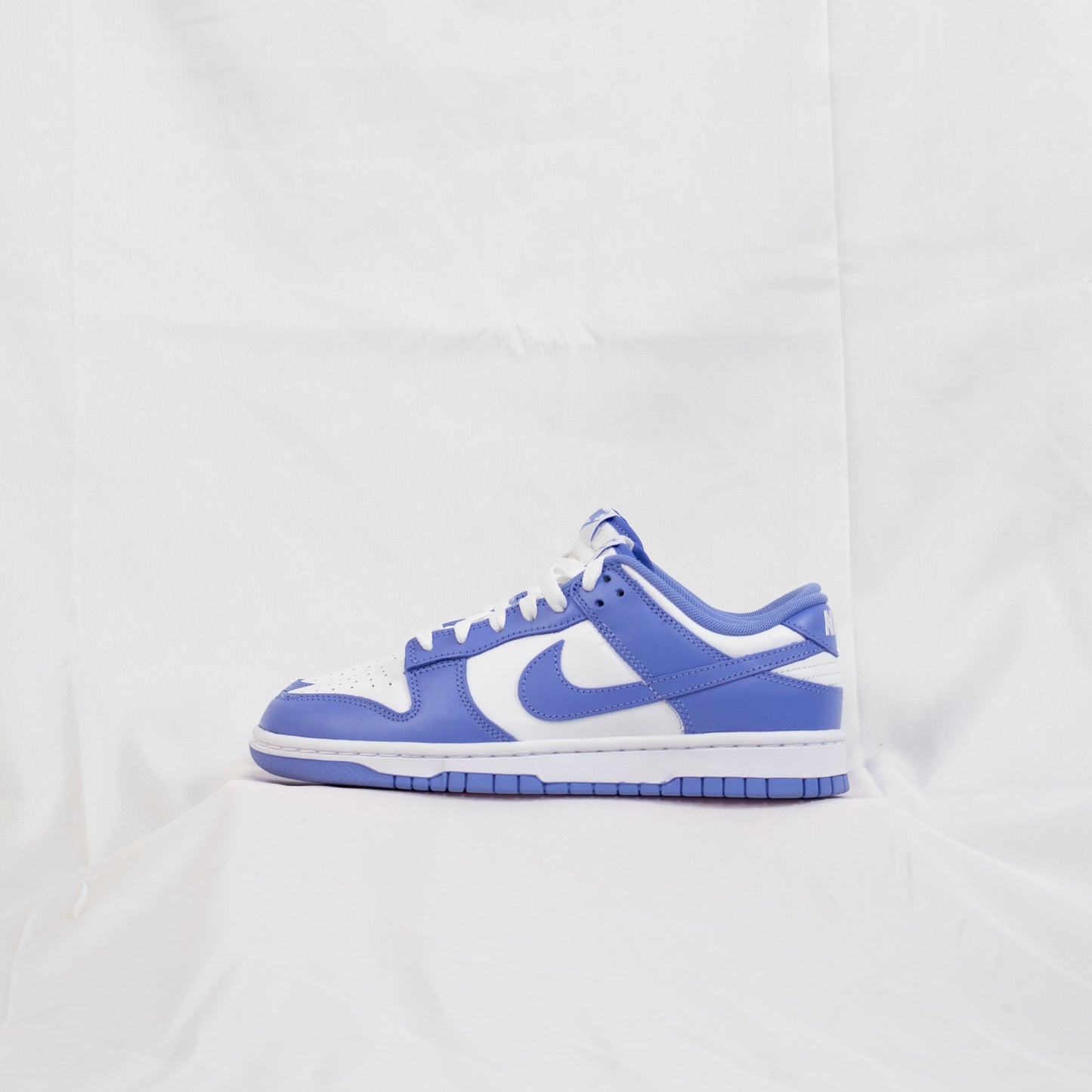 Nike Dunk Low Polar Blue